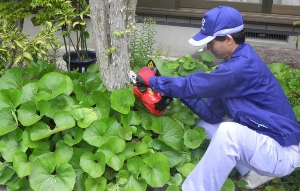 空き家対策の作業イメージ