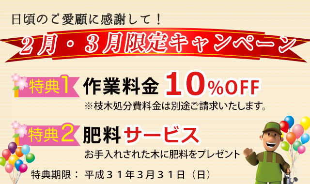 2月・3月限定キャンペーンのお知らせ