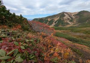 日本一早い紅葉